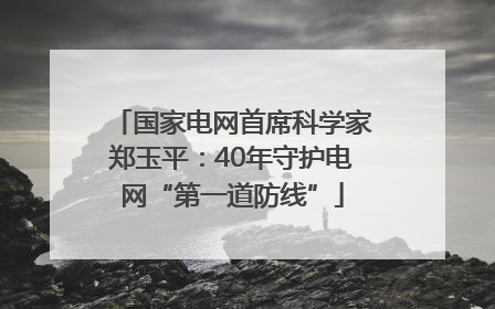 国家电网首席科学家郑玉平：40年守护电网“第一道防线”