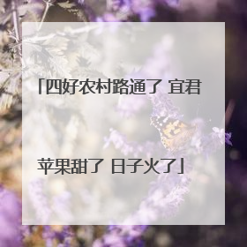 四好农村路通了 宜君苹果甜了 日子火了