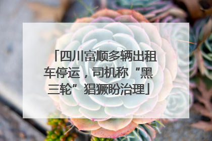 四川富顺多辆出租车停运，司机称“黑三轮”猖獗盼治理