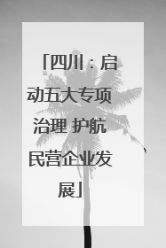 四川：启动五大专项治理 护航民营企业发展