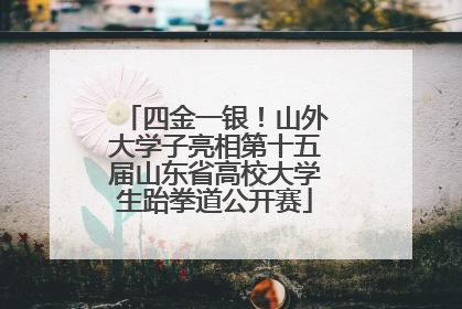 四金一银！山外大学子亮相第十五届山东省高校大学生跆拳道公开赛