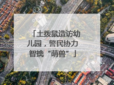 土拨鼠造访幼儿园，警民协力智擒“萌兽”