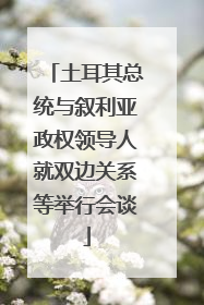 土耳其总统与叙利亚政权领导人就双边关系等举行会谈