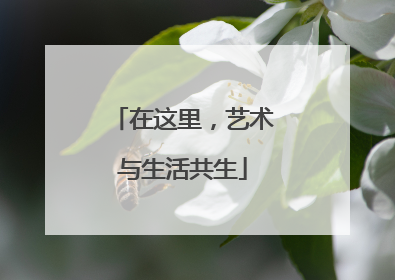 在这里，艺术与生活共生