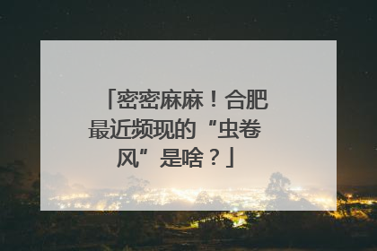 密密麻麻！合肥最近频现的“虫卷风”是啥？