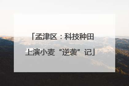 孟津区：科技种田 上演小麦“逆袭”记