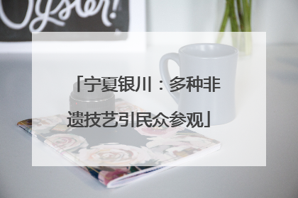 宁夏银川：多种非遗技艺引民众参观