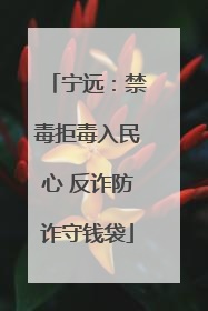 宁远：禁毒拒毒入民心 反诈防诈守钱袋