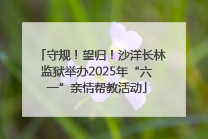 守规！望归！沙洋长林监狱举办2025年“六一”亲情帮教活动