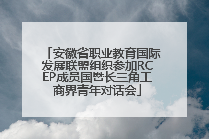 安徽省职业教育国际发展联盟组织参加RCEP成员国暨长三角工商界青年对话会