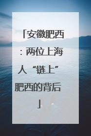 安徽肥西：两位上海人“链上”肥西的背后