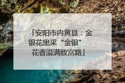 安阳市内黄县：金银花里采“金银” 花香溢满致富路