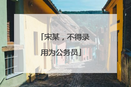 宋某，不得录用为公务员