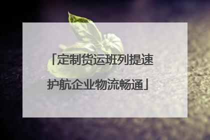 定制货运班列提速 护航企业物流畅通