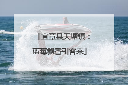 宜章县天塘镇：蓝莓飘香引客来