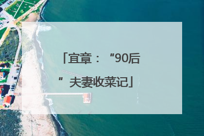 宜章：“90后”夫妻收菜记