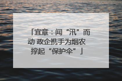 宜章：闻“汛”而动 政企携手为烟农撑起“保护伞”