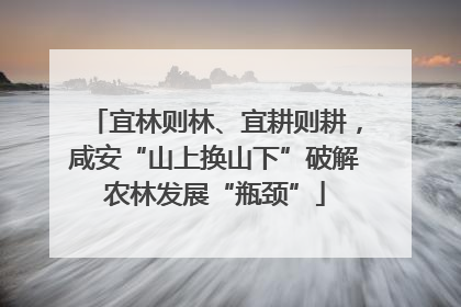 宜林则林、宜耕则耕，咸安“山上换山下”破解农林发展“瓶颈”