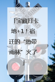 宝藏打卡地+1！宿迁的“热带雨林”火了