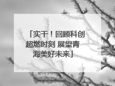 实干！回顾科创超燃时刻 展望青海美好未来
