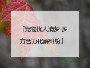 宠物扰人清梦 多方合力化解纠纷