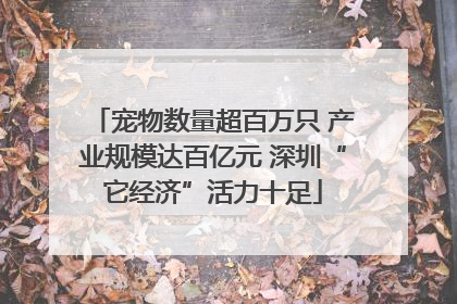 宠物数量超百万只 产业规模达百亿元 深圳“它经济”活力十足