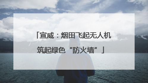 宣威：烟田飞起无人机 筑起绿色“防火墙”