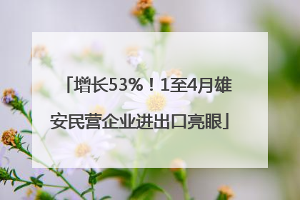 增长53%！1至4月雄安民营企业进出口亮眼