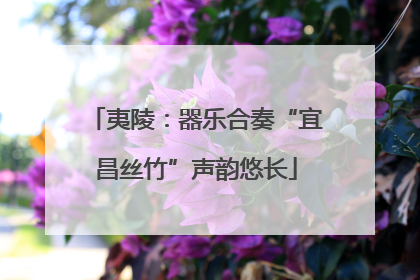 夷陵：器乐合奏“宜昌丝竹”声韵悠长