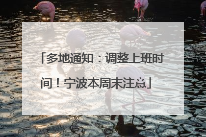 多地通知：调整上班时间！宁波本周末注意