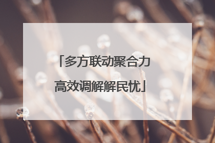 多方联动聚合力 高效调解解民忧
