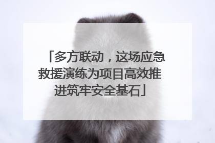 多方联动，这场应急救援演练为项目高效推进筑牢安全基石