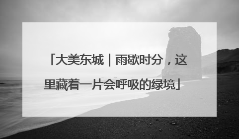 大美东城｜雨歇时分，这里藏着一片会呼吸的绿境
