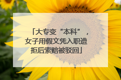 大专变“本科”，女子用假文凭入职遭拒后索赔被驳回