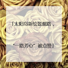 太阳岛新绘景观路，“一路芳心”被点赞