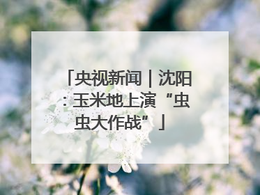 央视新闻｜沈阳：玉米地上演“虫虫大作战”