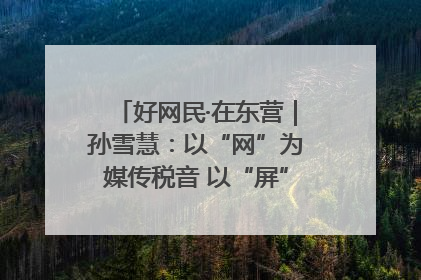 好网民·在东营｜孙雪慧：以“网”为媒传税音 以“屏”为介助发展