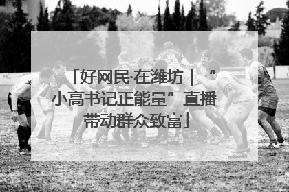 好网民·在潍坊｜“小高书记正能量”直播 带动群众致富