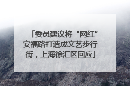 委员建议将“网红”安福路打造成文艺步行街，上海徐汇区回应