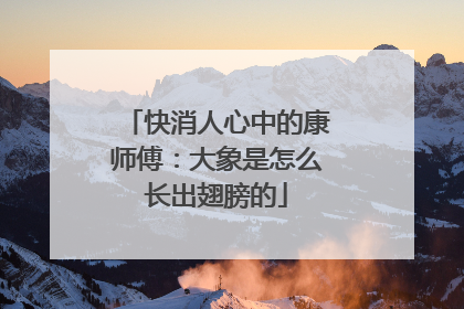 快消人心中的康师傅：大象是怎么长出翅膀的