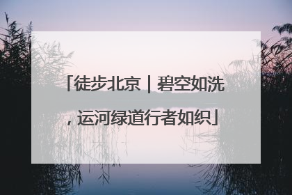 徒步北京｜碧空如洗，运河绿道行者如织