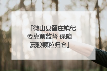 微山县留庄镇纪委靠前监督 保障夏粮颗粒归仓