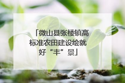 微山县张楼镇高标准农田建设绘就好“丰”景