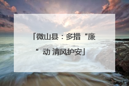 微山县：多措“廉”动 清风护安