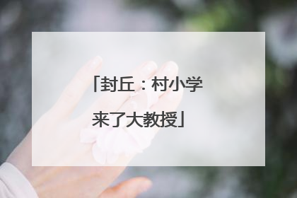 封丘：村小学来了大教授
