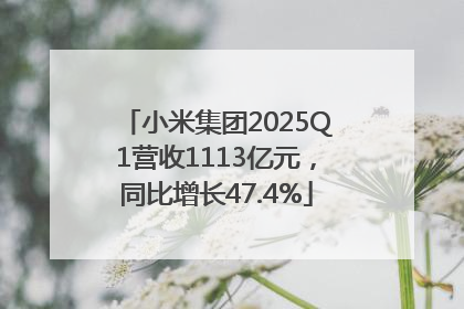 小米集团2025Q1营收1113亿元，同比增长47.4%