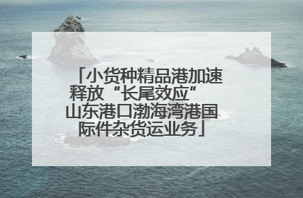 小货种精品港加速释放“长尾效应” 山东港口渤海湾港国际件杂货运业务