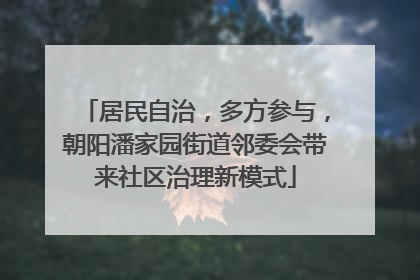 居民自治，多方参与，朝阳潘家园街道邻委会带来社区治理新模式
