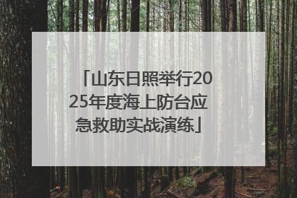 山东日照举行2025年度海上防台应急救助实战演练