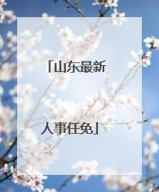 山东最新人事任免